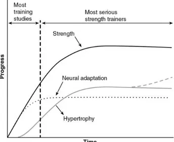 Figure 2.3   Adaptations neuronales et musculaires à la musculation au fil du temps (Moritani et al., 1979) 