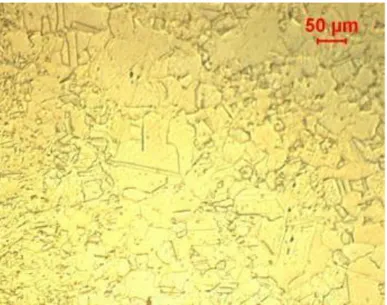 Figure 3.5. Image en microscopie optique en lumière  blanche du nickel polycristallin, lot 2 