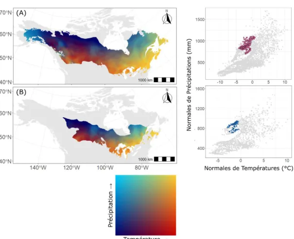 Figure  0.5.  Enveloppes  climatiques  des  deux  espèces.  À  gauche :  cartes  bivariées  présentant la variabilité des normales 1981-2010 de températures et de précipitation à  l’intérieur de l’aire de répartition de l’épinette noire (A) et du pin gris 