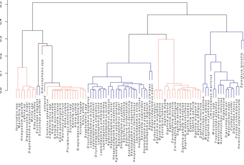 Figure 4: Cluster dendrogram based on functional traits of 92 zooplankton species based 