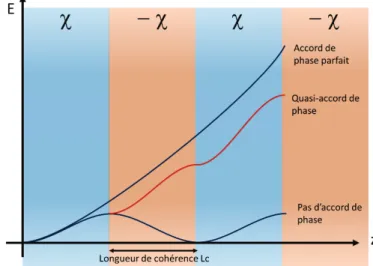 Fig. 23 : Illustration de l’évolution de l’amplitude du champ d’un phénomène non linéaire 