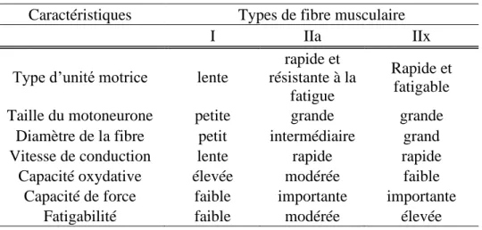 Tableau  1.1  Caractéristiques  des  différents  types  de  fibres  musculaires. D'après Wilmore et al