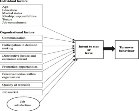 Figure 2.2 Cadre conceptuel tiré de McCarthy et al. (2007) 
