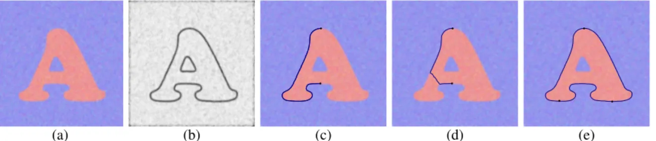 Figure 1: (a) Input image. (b) Potential P. (c) Geodesic between two given points. (d) Undesirable sructure extraction