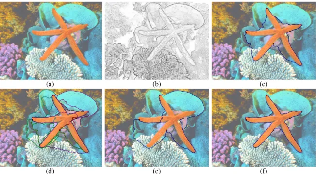 Figure 7: Influence of the region homogeneity term: (a) input image, (b) inverted gradient magnitude, (c) initial configuration of the basic geodesically linked active contour (independent minimal paths), (d) all admissible paths, (e) selected contour with