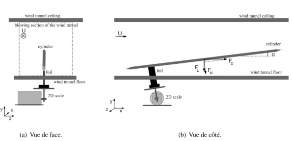 Fig. 2.1 – Schéma du montage utilisé pour la mesure simultanée des forces de traînée et de portance à