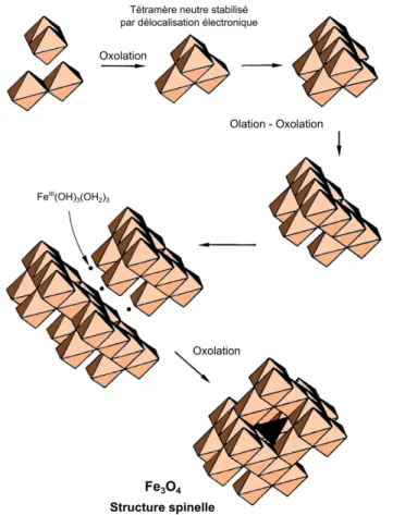 Figure 2.1: Schéma réactionnel proposé pour la formation du réseau spinelle de la magnétite à partir de complexes hexaaquo d’ions ferriques et ferreux, d’après la référence [70].