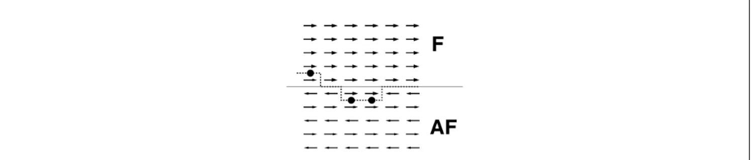 Figure 2.3 – Modèle de l’interface rugueuse entre un matériau ferromagnétique et antiferromagnétique (la ligne pointillée représente l’interface.)[34]