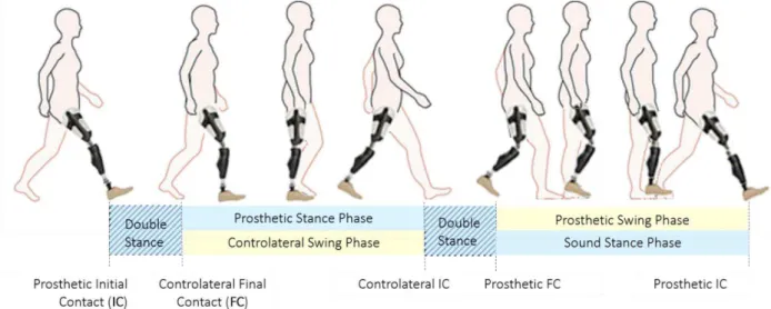 Figure 7: Prosthetic gait cycle and main gait events 