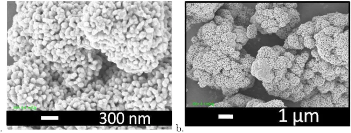 Fig. 1.4 – Images de microscopie MEB de grains de LAP avec deux grossissements