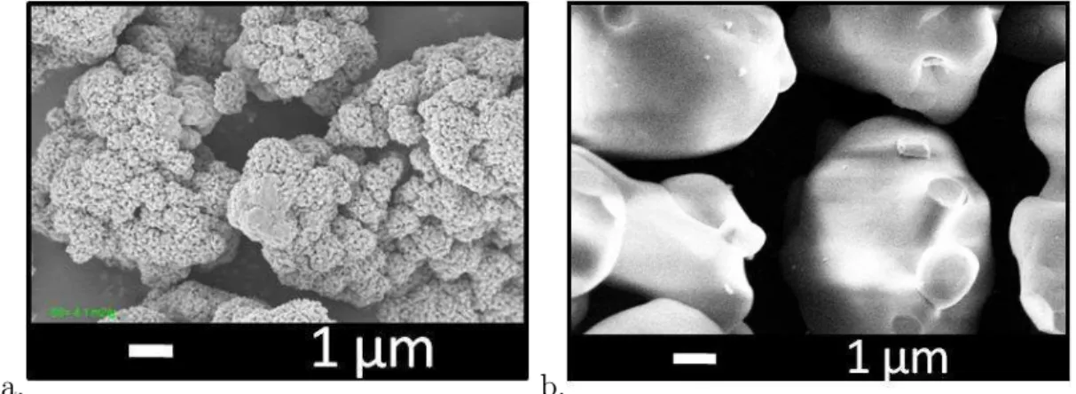 Fig. 1.7 – Image MEB de grains de LAP avant recuit (a.) et après recuit avec fondant