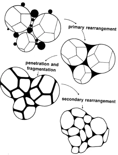 Fig. 1.10 – Schéma de la réorganisation et de la fragmentation de particules polycristal-