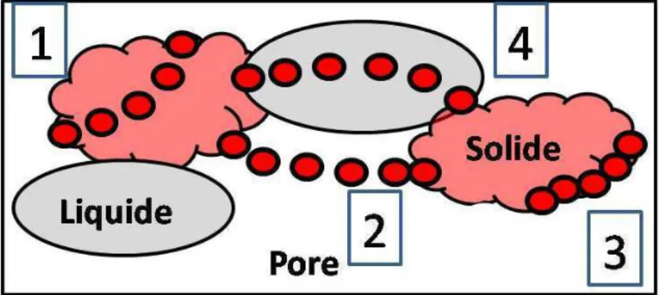 Fig. 2.7 – Représentation schématique des mécanismes de transport de masse 1 : la