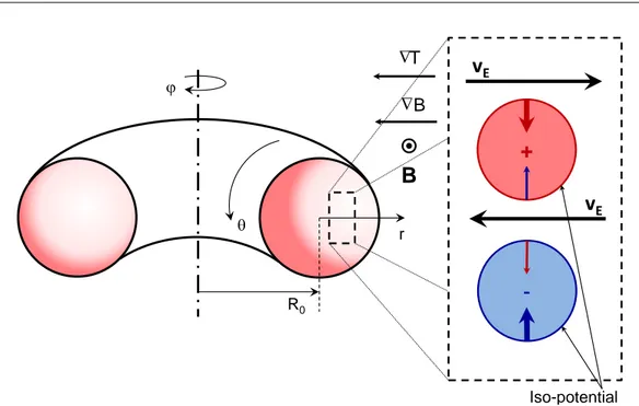 Figure 2.1: Cartoon of a tokamak plasma illustrating the physical mechanisms of the interchange instability after Sarazin [ 2008 ]