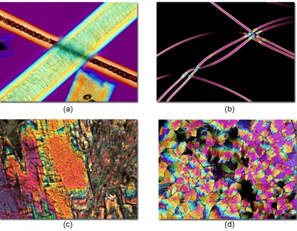 Figure 2.10: Examples of images acquired with a polarized light microscope (a) badger hair (b) nylon fiber (c) actinolite schist (d) cholesterol