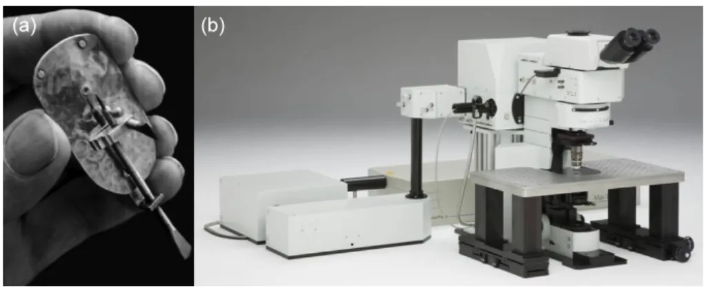 Figure 1.2: (a) Microscope construit par Antoni van Leeuwenhoek. Ses microscopes ´etaient constitu´es d’une seule lentille et ont d’abord ´et´e utilis´es pour v´erifier la r´egularit´e d’´etoffes, puis pour observer des organismes vivants