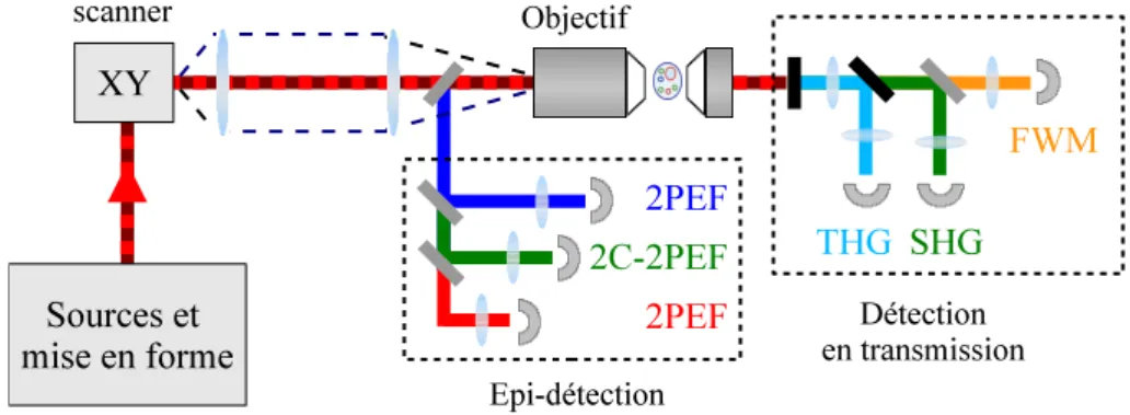 Figure 1.19: Sch´ema de principe du microscope `a balayage.