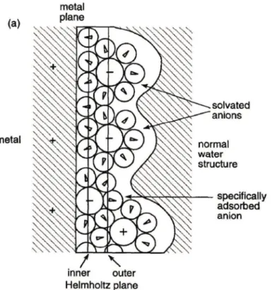 Figure 2.1 -  Model of the metal-electrolyte interface (electrical double layer) under conditions where anions 