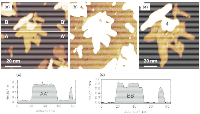 Figure 3.7: (a) in situ STM image (840 Å x 840 Å) of a Fe/Au(111) film grown in 1s at -1.3 V with the tip  retracted