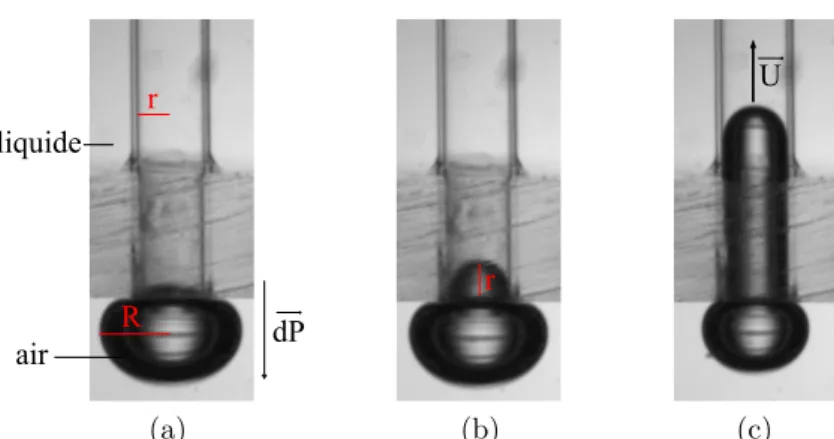 Figure I.2.1 – Aspiration d’une bulle ` a travers un capillaire (r = 1 mm) : (a) Position initiale statique (dP ≈ 0) ; (b) Position statique limite (dP < ∆P c ) ; (c)
