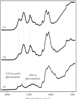 Figure 1: FTIR spectra of CS (a), CS-genipin (b), and CS-GG beads (c). For more details, see Materials and Methods.
