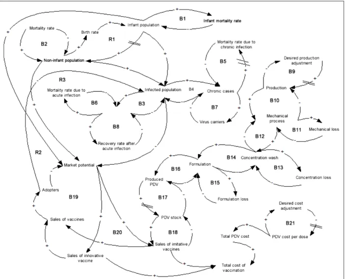 Figure 1. Influence diagram of PDV diffusion.