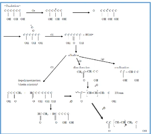 Figure I-30 : Mécanisme d’oxydation du fil de PVAl dans une solution alcaline (pH = 12,6)  extraite du ciment entre 20 et 70°C proposé par Nishiyama et al