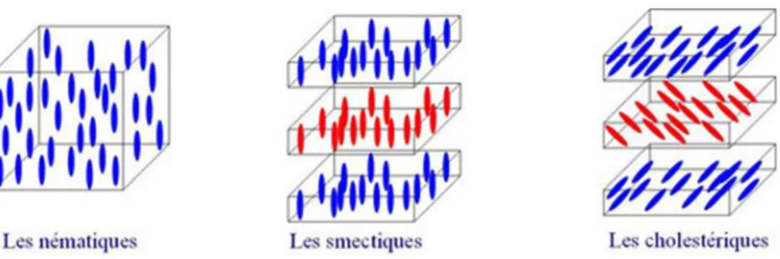 Figure 2.8 Représentation de différents agencements possibles des cristaux liquides dans une matrice [72] 