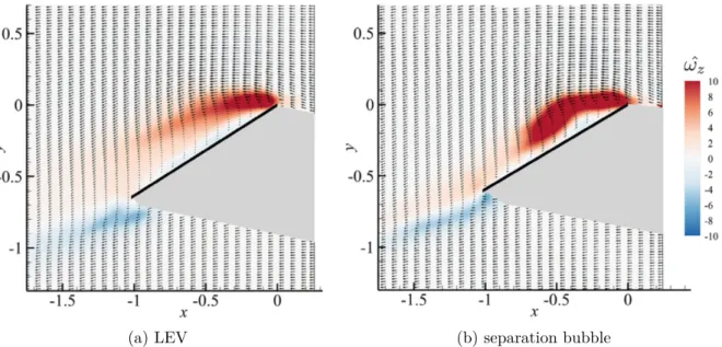 Figure 1.22. Spanwise vorticity field above a triangular flat blade during accelerated rotation, at same angular position