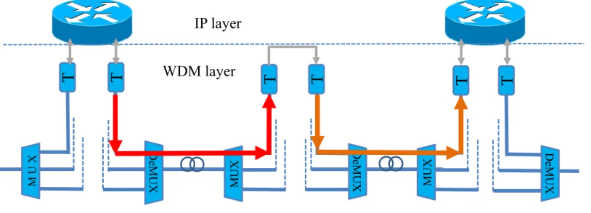 Figure 2.4: Opaque Transport Network