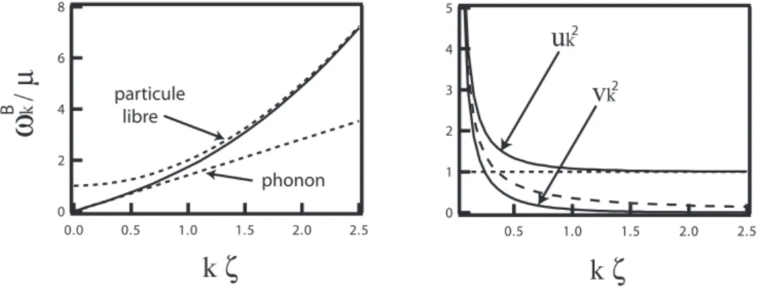 Fig. 1.2 – Relation de dispersion et amplitudes de Bogoliubov dans le cas homog` ene