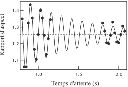 Fig. 2.7 – Oscillations du quasi-condensat hors d’´ equilibre, provoqu´ ees par une rampe de condensation brutale