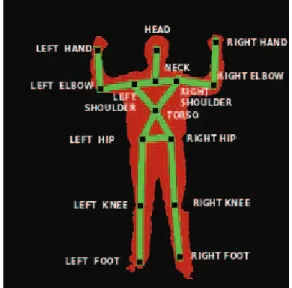 Figure 3.4: The image shows the joints for the skeleton provided by PrimeSense OpenNI framework.