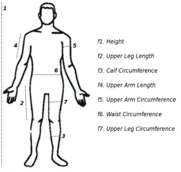 Figure 3.7: Measures taken into account in our work on weight estimation.
