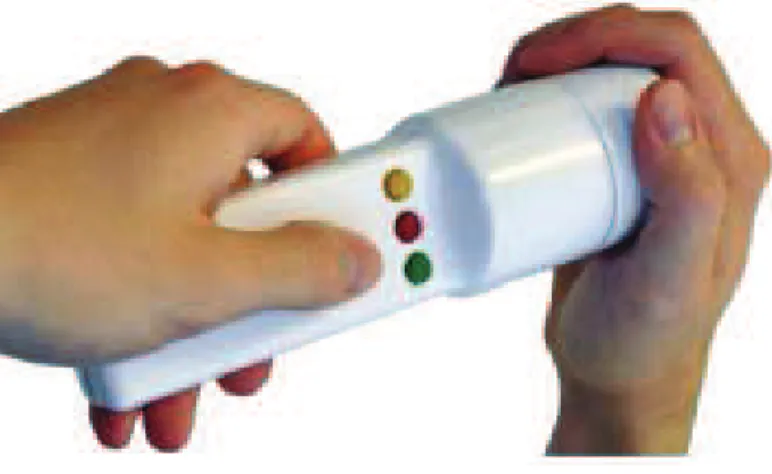 Figure 3.10: Peppermill [ Villar et Hodges , 2010 ].