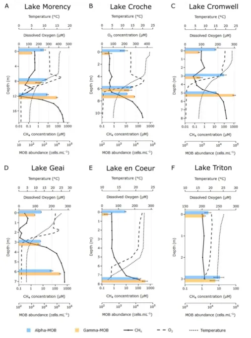 Figure 1.1. Vertical profiles of temperature, O2, CH4, and MOB cell abundance in the  water column of study lakes