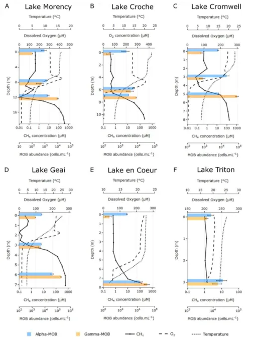 Figure 1.1. Vertical profiles of temperature, O2, CH4, and MOB cell abundance in the  water column of study lakes