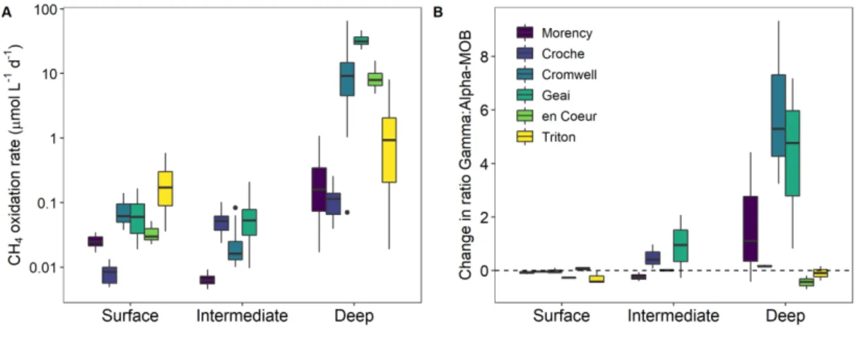 Figure 1.3. CH4 oxidation rates and MOB dynamics in incubations in each studied  lake (ordered from deepest to shallowest as shown in the legend)