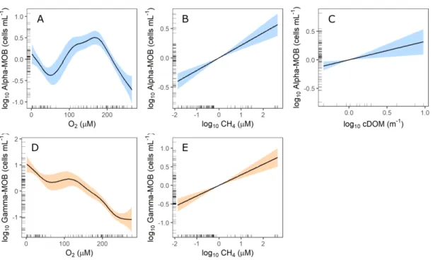 Figure  1.4.  Partial  effect  plots  (GAMs)  of  significant  environmental  predictors  of  each MOB group abundance (cells mL −1 )
