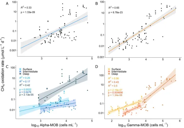 Figure 1.5. Relationship between MOB groups and CH4 oxidation rates in the water  column of studied lakes