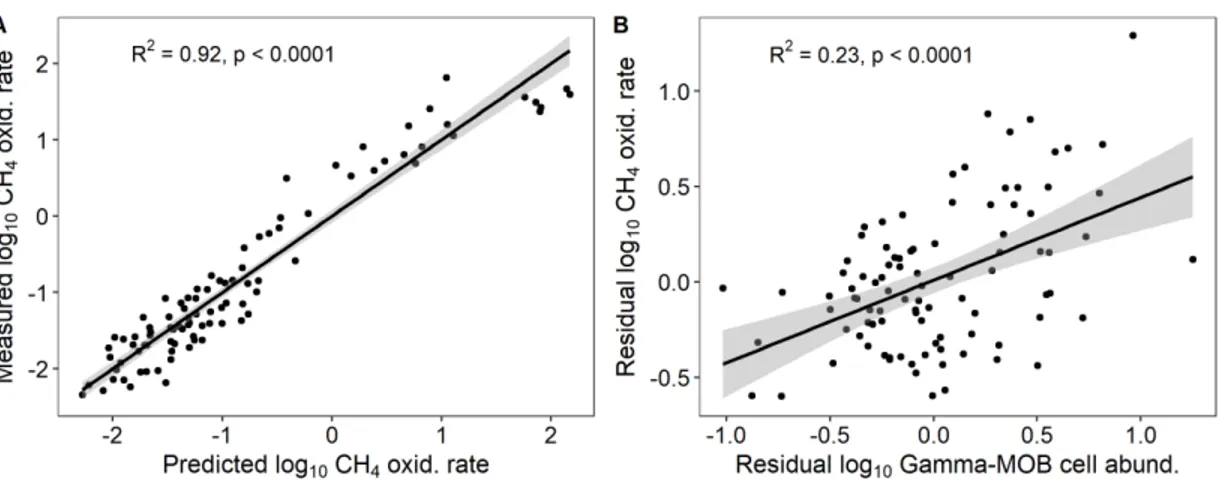 Figure 1.6. Effect of the addition of Gamma-MOB cell abundance to environmental  model predicting CH4 oxidation rate