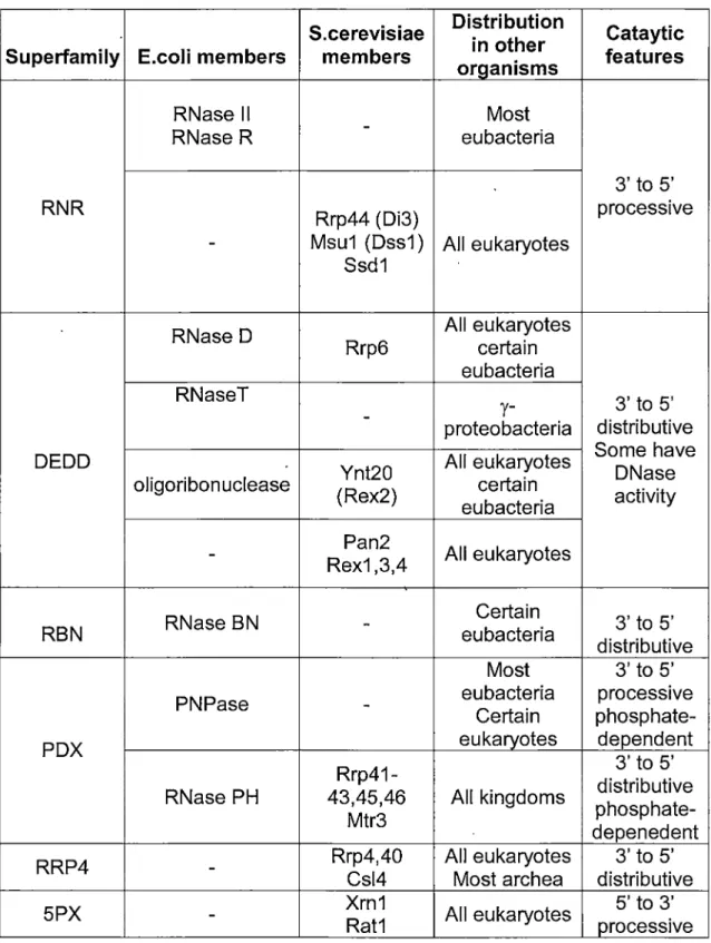 Table 1. Summary of exoribonuclease superfamilies.  (Zuo and  Deutscher, 2001) 