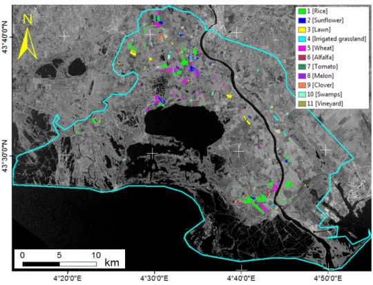 Figure 3.1: Camargue study area. Colored polygons represent 921 reference plots location