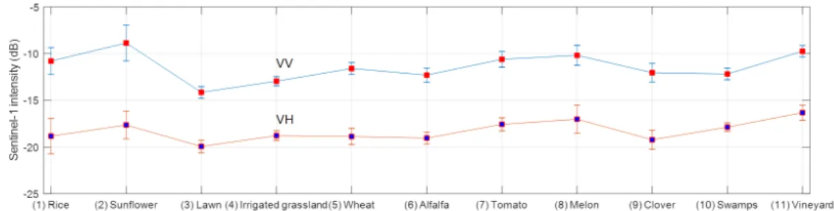 Figure 3.3: The average and standard deviation of the eleven different classes for VV and VH polarizations.