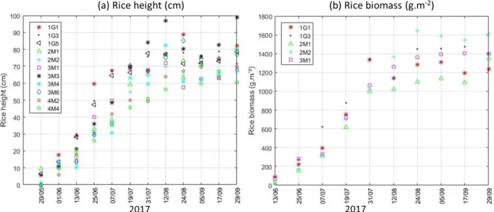 Figure 4.4: Temporal variation of the rice height and biomass versus to acquisition dates of Sentinel-1 data.