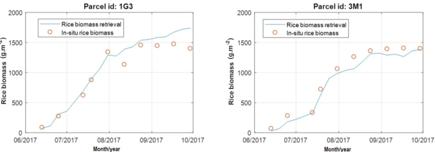 Figure 4.9: Rice biomass retrieval and in-situ measurements at two reference plots 1G3 and 3M1.