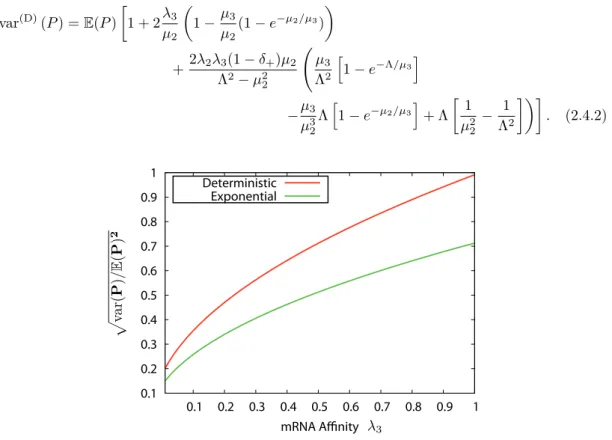 Figure 2.4: Square root of relative variance of the number of proteins with a fixed mean