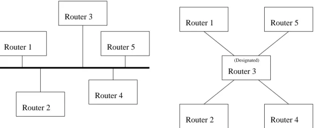 Figure 3.1: Example of Designated Router emulated topology. The routers are physically all connected by the same broadcast medium (on the left)