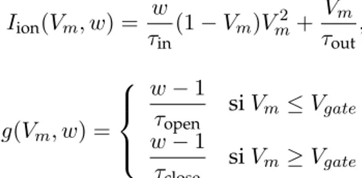 Figure 2.29). Cette équation traduit pour l’instant la cinématique de la propagation électrique mais, dépend de la façon dont on modélise I ion en fonction de la dynamique de w représentant