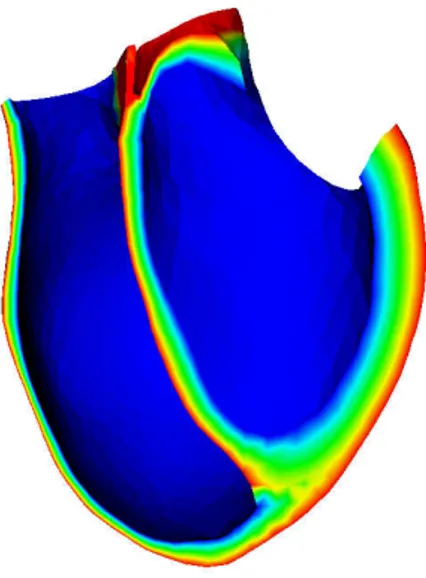 Figure 2.40. A celui-ci nous superposons en rouge les fibres finales où nous avons en plus im- im-posé l’orientation aux valves et réinterpolé au dessus du plan de coupe P 